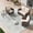 Beige, variant on Homrest 3 Piece Outdoor Swivel Chairs -All Weather Wicker Patio bistro table and chairs set of 2 Small Patio Furniture Set for Balcony Porch Deck Backyard (Grey)