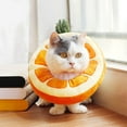 thumbnail image 2 of TIIFSWHS New Electric Embroidery Fruit Shape Watermelon Pineapple Strawberry Orange Ring Cat Collar Cat Collar Anti Licking, 2 of 9
