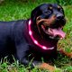 thumbnail image 2 of El collar de perro llevado, los collares de perro que brillan intensamente recargables del USB, enciende para arriba la seguridad mejorada del animal doméstico, 2 of 5