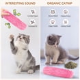 thumbnail image 2 of Tripumer 3PCS Catnip Plush Cat Toys, 3 Colors, Soft Crinkle Kick Pillows for Indoor Licking/Chasing/Chewing, 2 of 8