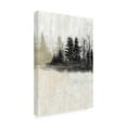 thumbnail image 2 of Trademark Fine Art 'Pine Island I' Canvas Art by Naomi McCavitt, 2 of 4