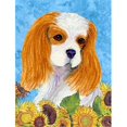 thumbnail image 1 of Carolines Treasures SS4161GF 11 x 15 In. Cavalier Spaniel Flag- Garden Size, 1 of 3