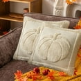thumbnail image 4 of Fall Pumpkin Throw Pillow Covers, 18x18 Inch Autumn Thanksgiving Harvest Decoration Soft Plush Faux Fur Jacquard Cushion Case for Sofa Couch Set of 2, 4 of 5