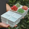 thumbnail image 3 of KYAIGUO 4 PCS Plastic Plant Pots Set Cactus Flower Pot/Succulents Pot with Trays Planters for Indoor Plants, 3 of 8