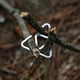 thumbnail image 1 of Gancho Triangular Para Colgar Gancho de suspensión triangular en forma de S Campamento al aire libre Senderismo Lámpara Hebillas colgantes (S 8pcs), 1 of 8