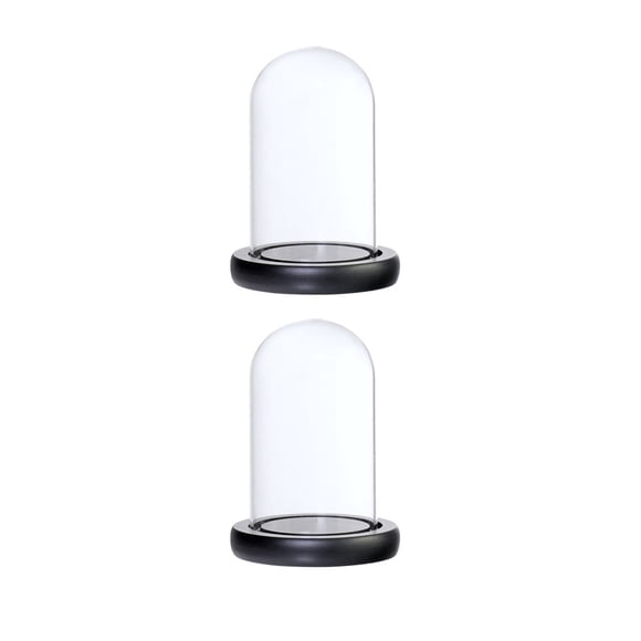 Cúpula de vidrio de 2xglass con soporte de paisaje de flor de base cubierta de vidrio negro
