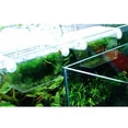thumbnail image 3 of unbranded Pecera De Acrílico Transparente Para Incubación Y Aislamiento De Peces, 3 of 8