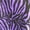 Purple, variant on Poly-Cotton Zebra Print Fabric 58" Wide by 36"(1-Yard) for Arts, Crafts, & Sewing