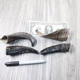 thumbnail image 4 of 4 Small Polished Goat Horns #604-2 Natural Colored, 4 of 5
