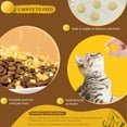 thumbnail image 5 of 2.82 OZ Freeze Dried Cat and Dog Treats Quail Egg Yolk, Healthy Tasty Snacks for Pet Training, Natural Freeze-Dried Limited Ingredient Quail Egg Yolk, 5 of 8