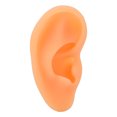 thumbnail image 3 of Ear Display Mould, Ear Model Soft Silicone  For Hospital Left, 3 of 8