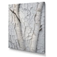 thumbnail image 2 of Designart "Grey Sycamore Shade Minimalism" Tree Sycamore Wall Art Prints, 2 of 7
