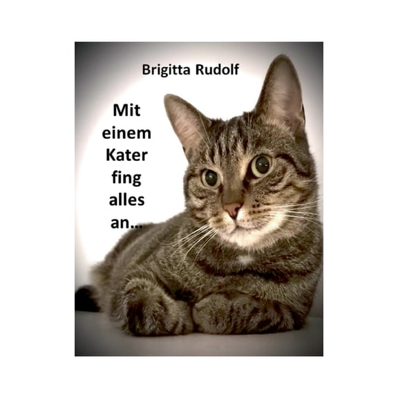 Alles fing mit einem Kater an, (Paperback)