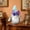 Multicolor A, variant on Usbinx Life Floral Gnome Figurine 11.8 Inch Plush Spring Gnome Decor with Blue Hat and Purple Flowers for Shelf Table Mantel Party and Gift 1 Piece