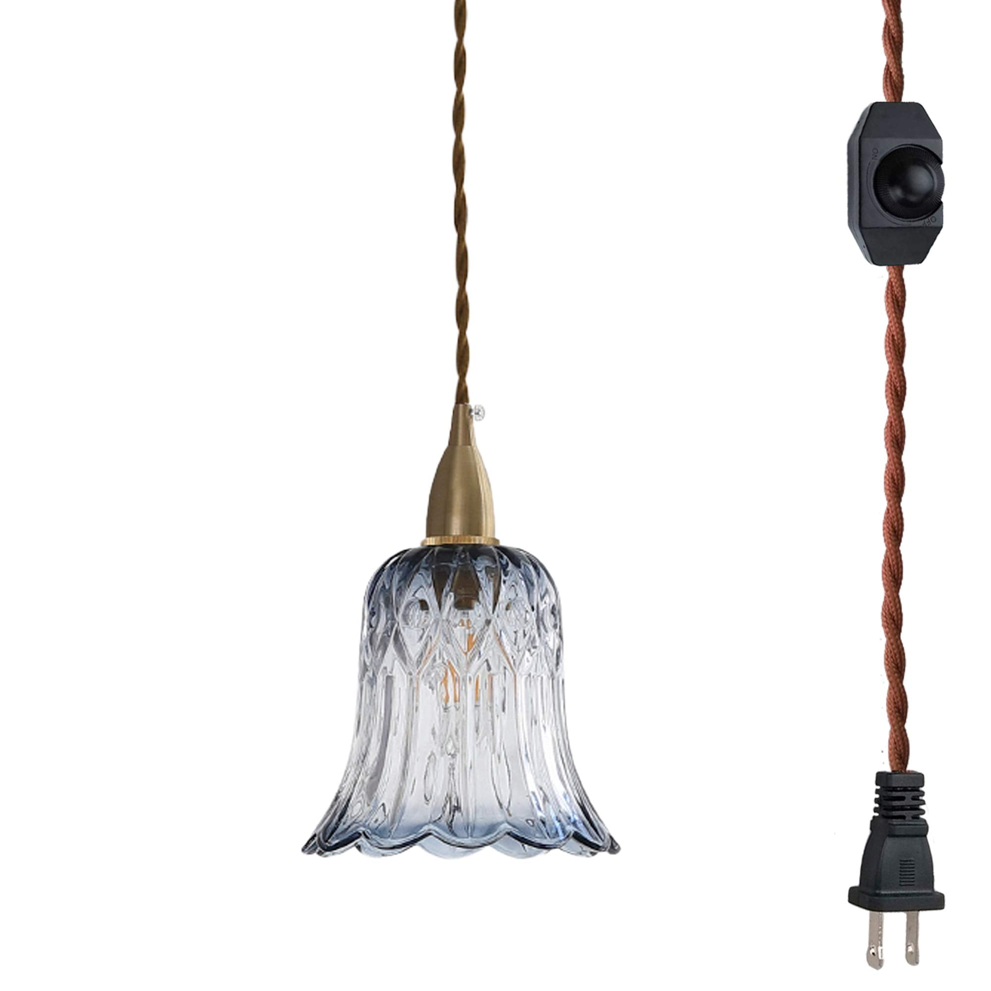 FSLiving Hanging Swag Lamp Pendant Light with 15ft Plugin UL Dimmable