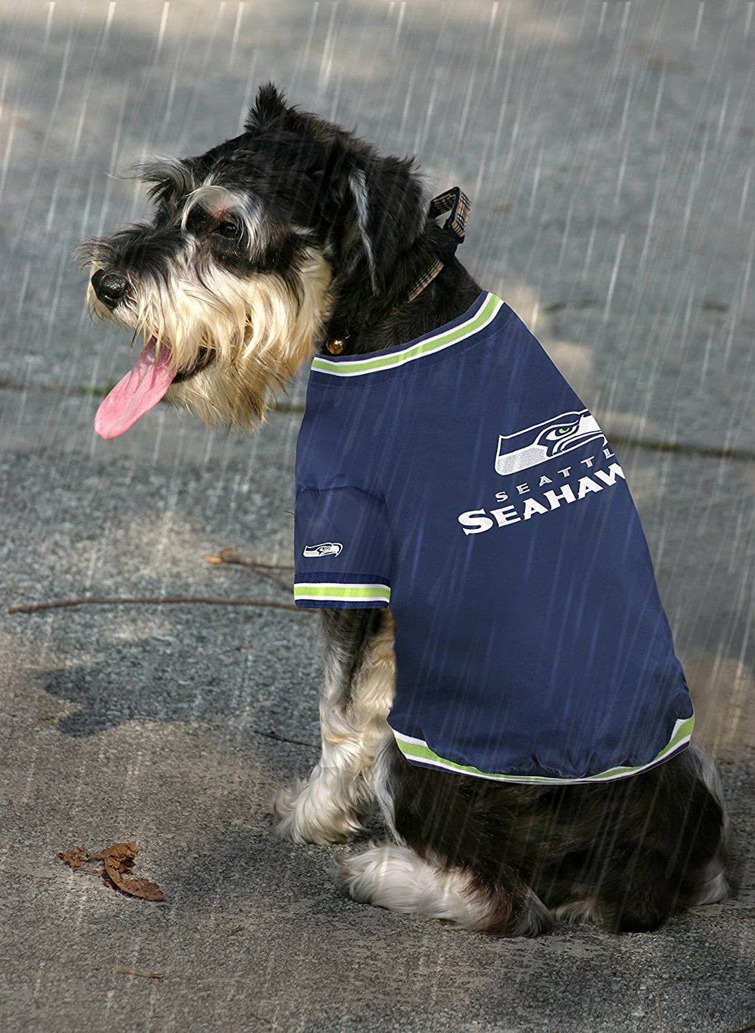 Seahawks Dog Jersey 