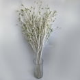 thumbnail image 4 of Yuedong Artificial Tree Branch Emulation Wedding Decoration Simulation Plant Withered Decorate Iron Wire White Fake Branches, 4 of 14