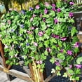 2 Bunches Artificial Vines 35.4" Morning Glory Hanging Plants Silk