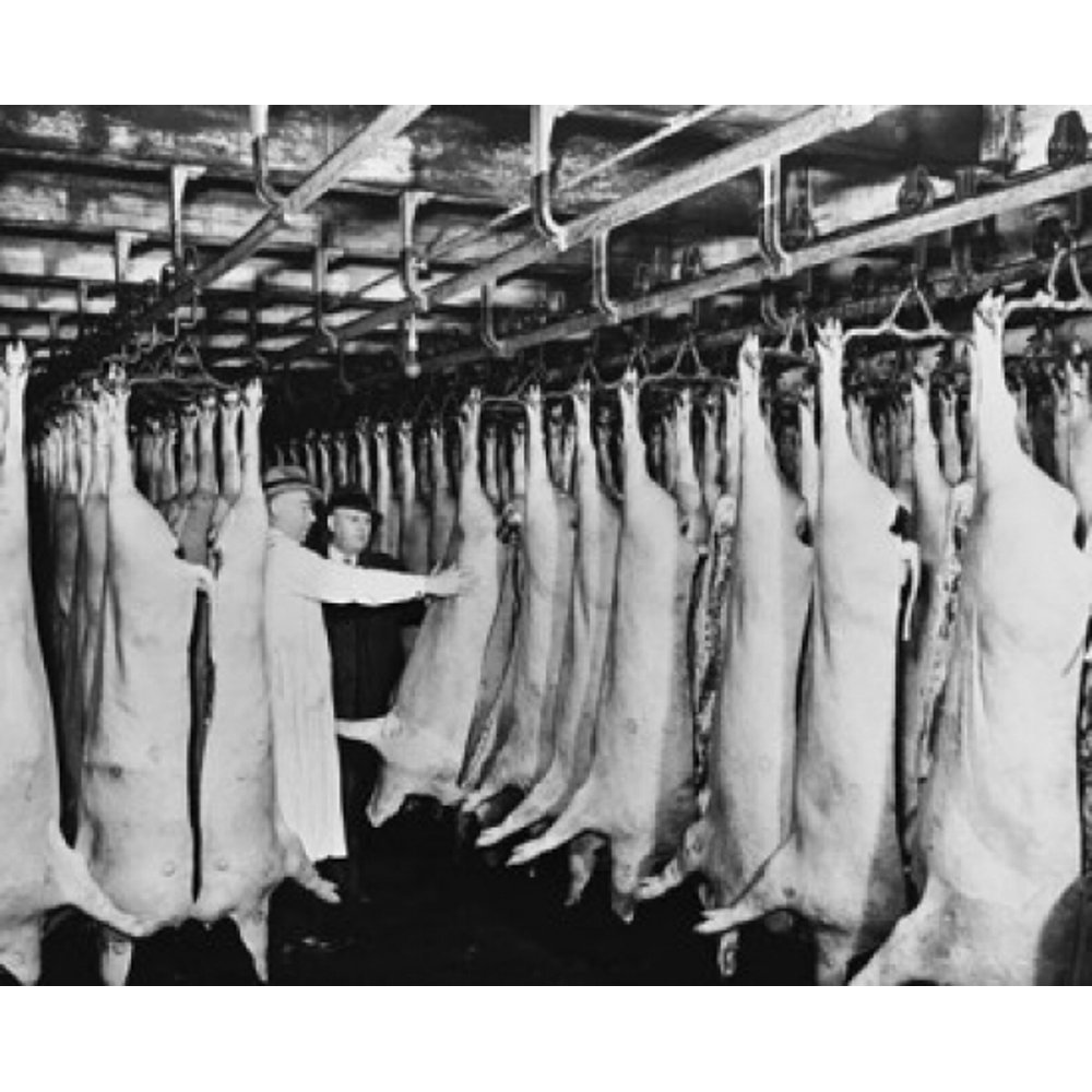 Two mature men inspecting meat hanging in a slaughterhouse Chicago