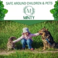 thumbnail image 5 of Minty Spider Repellent, Natural 5% Peppermint Oil Spray, Kills & Deters All Types of Spiders and Insects, Indoor and Outdoor Use, 128 fl oz Gallon, 5 of 6