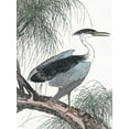 thumbnail image 2 of Stellar Design Studio 25x32 Black Ornate Wood Framed with Double Matting Museum Art Print Titled - Perched Heron, 2 of 4