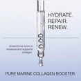 thumbnail image 2 of Skin Perfection Antarcticine DIY Serum Booster, Marine Glycoprotein Add-In, 0.5 oz, 2 of 12