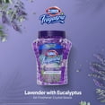 Clorox Fraganzia Air Care Air Freshener Crystal Beads In Lavender With