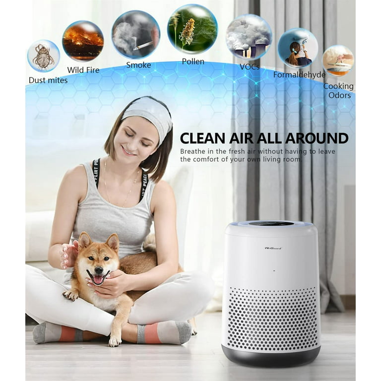 RENPHO HEPA Air Purifier for Home Large Room up to 600 Sq.ft, H13 True HEPA  Filter Air Cleaner for Pet Hair, Allergies, 99.97% Smokers, Odors, Dust