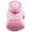 Pink, variant on BAIANNAN Puppy Pet Hooded Sweatshirt Autumn Winter Two-legged Pocket Cat Dog Clothes