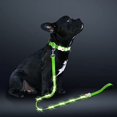 thumbnail image 2 of Correa LED para perro, color lavanda, recargable, 1,5 m, con doble asa, 2 of 6