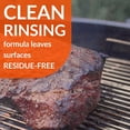 thumbnail image 2 of Simple Green 60034 03100012 Nettoyant pour Barbecue 24 oz Usage Intensif, 2 of 5