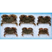 Handy Imported Wild Caught Soft Shell Colossal Crab, 5.0 ounce - 7 count per pack -- 4 packs per case