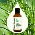 thumbnail image 3 of Plant Therapy Rosemary Organic Essential Oil 100% Pure, USDA Certified Organic, Undiluted 30 mL (1 oz), 3 of 8