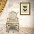thumbnail image 3 of Vision Studio 15x18 Gold Ornate Wood Framed with Double Matting Museum Art Print Titled - Antique Butterfly Pair II, 3 of 4