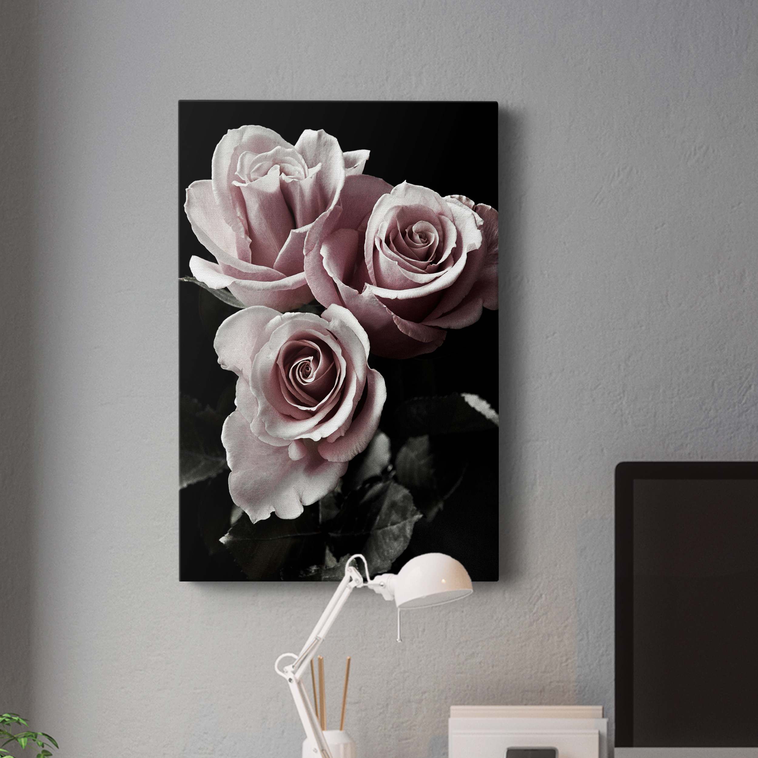 Rose Noir I Premium Gallery Wrapped Canvas - Ready to Hang - 40 x 60