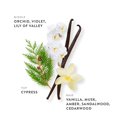 thumbnail image 3 of Perfume ETLEÉ Eau de Parfum con vainilla y almizcle, 10 ml, para mujeres y hombres, 3 of 8