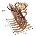 thumbnail image 2 of Scunci Extra Large Claw/Jaw Clip No-Slip Grip, Adjusts to Most Hair Types, in Tortoise Shell, 1ct, 2 of 10