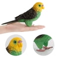thumbnail image 4 of MasteelfCA Simulation Parrot Model Solid Static Artificial Parrot Model Toy Desktop Ornament, 4 of 7