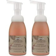Foaming Hand Soap, Raspberry Almond 8.4 (Pack of 2)