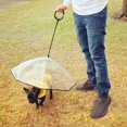 thumbnail image 3 of Disfruta de la lluvia y la nieve, paraguas impermeable para mascotas, correa para caminar, paraguas con correa para perros pequeños, paraguas ajustable para perros JAMW Sencillez, 3 of 5