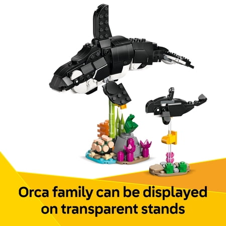 Image not found