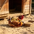 thumbnail image 4 of Tuvgenk Porch Goose Outfits 23" Spring Porch Goose Clothes Chicken Saddle / Hen Apron Cloth Lawn Decorations Outdoor, 4 of 6