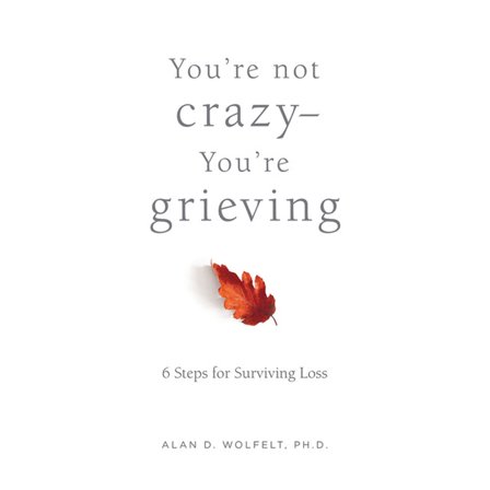 You’re Not Crazy—You’re Grieving: : 6 Steps for Surviving Loss (Paperback)