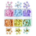 thumbnail image 2 of SmartBy 1 Box 3D Flower Nail Art Charm 6 Grids Resin Floral Charms Golden Beads DIY Nail Design Jewelry Crafts Manicure Decoration Accessories, 2 of 7