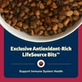 thumbnail image 4 of Blue Buffalo Freedom Grain-Free Natural Adult Dry Dog Food, Beef & Potatoes, 4-lb. Bag, 4 of 12