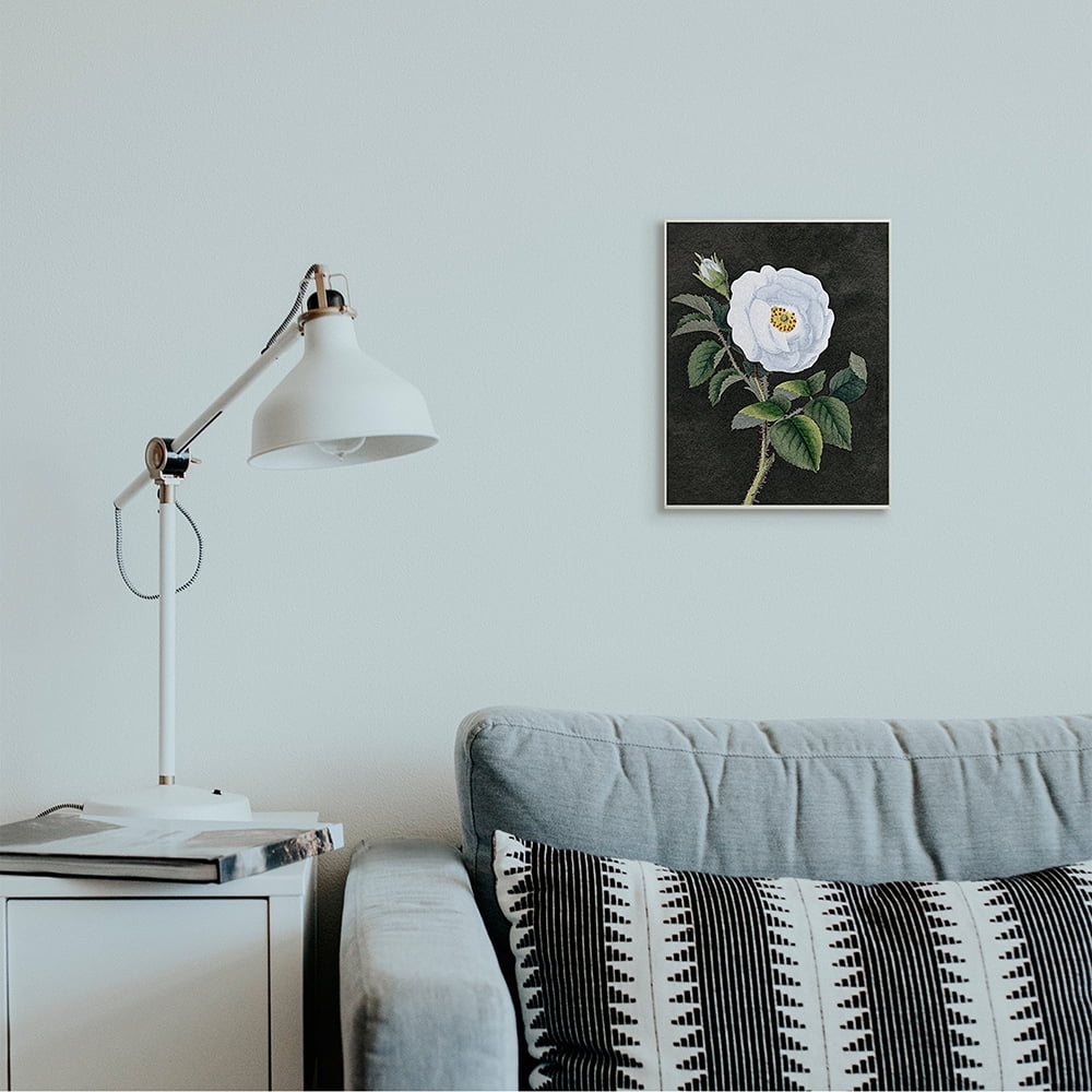 Stupell Industries White Poppy Illustration Vintage Flower Thorns Wall Plaque by Daphne Polselli