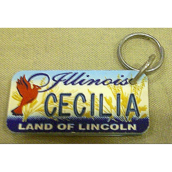 Illinois Land of Lincoln "Cecilia" Keychain, Key Holder, Key Ring New