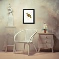 thumbnail image 4 of Coenraad Jacob Temminck 11x14 Black Modern Framed Museum Art Print Titled - Priest Parrot. (1838), 4 of 5