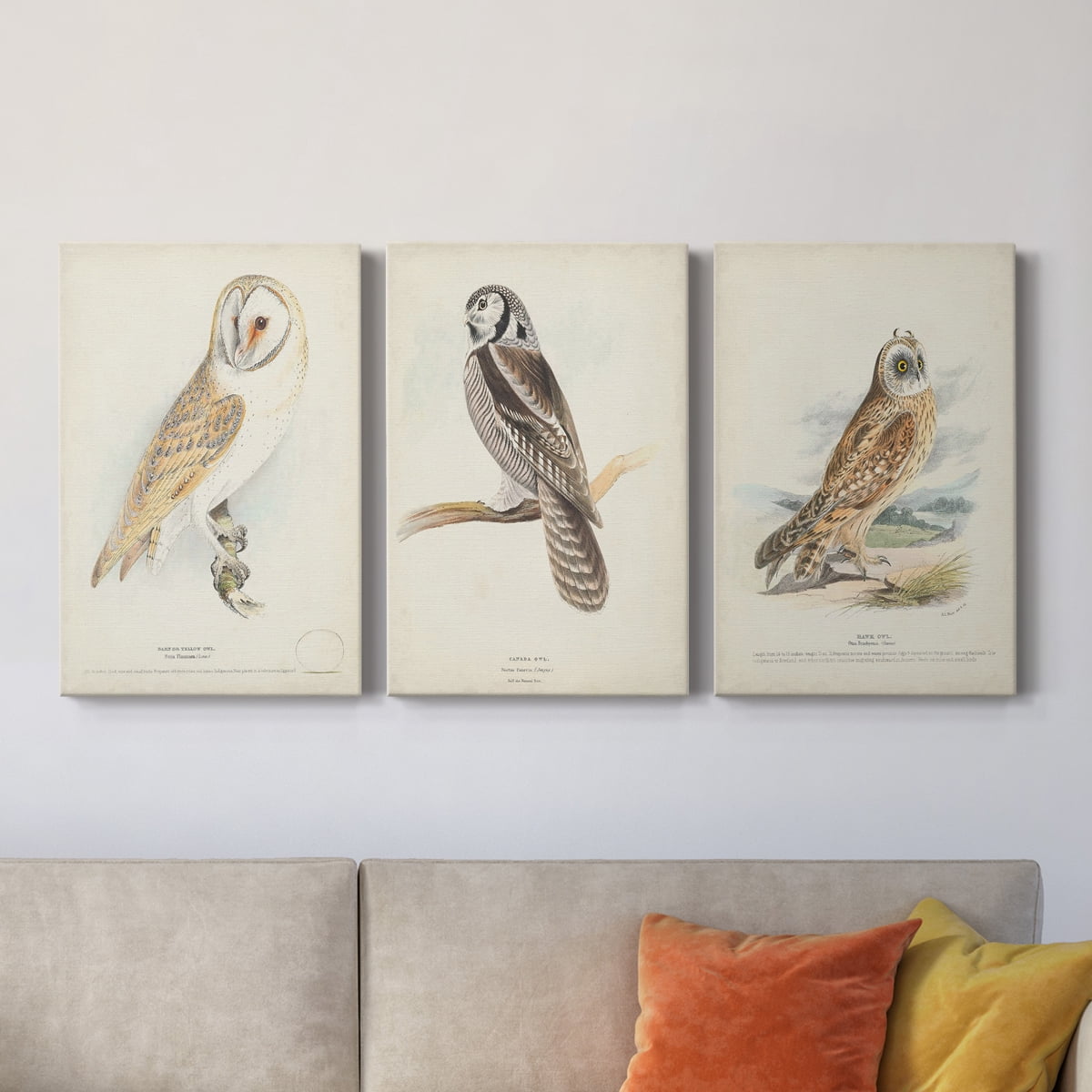 Barn Owl Premium Gallery Wrapped Canvas - Ready to Hang - 18 x 27 Each