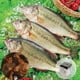 thumbnail image 4 of Xihbxyly Juego de Dados para Parejas, Divertido Juego de Decisiones Culinarias, Grabado En Acero Inoxidable, Regalo de Aniversario de Boda, San Valentín, Idea de Regalo de Cumpleaños, Cita Romántica, 4 of 7